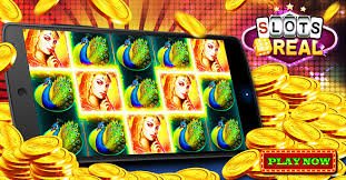 2877bet